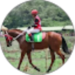 Review From Liga_tarkam_sumbar Channel