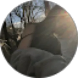 Review From Riska Cantik