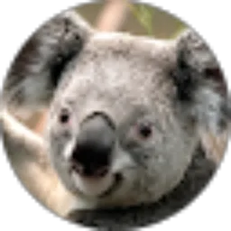 Review From damianus denny