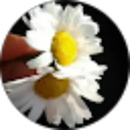 Review From Ferhan Ateşş