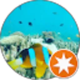 Review From Maps96 Explorer