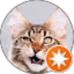 Review From Arum Puspita Sari (Arum)