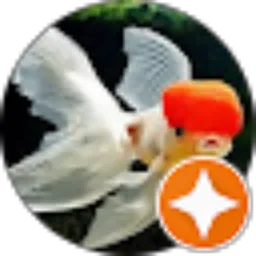 Review From Elma Gusni