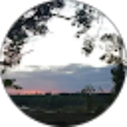 Review From Ipan Pan