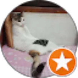 Review From Margarettha Maryline