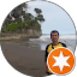 Review From Parsidi
