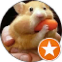 Review From Agung Surya