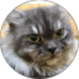 Review From Denny Deden