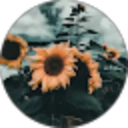 Review From evania prima