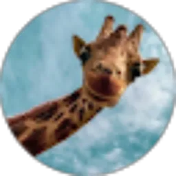 Review From Ridito Muhammad