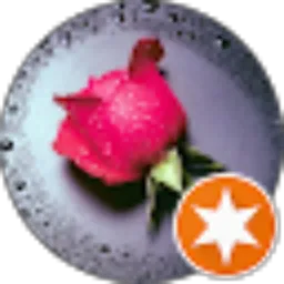 Review From Kusuma Widati