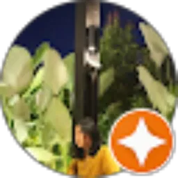 Review From Jovinka Dwi Saraswati