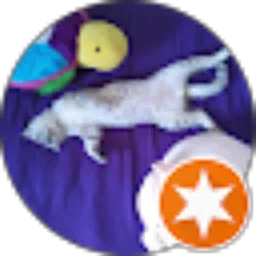 Review From Erieana Christine