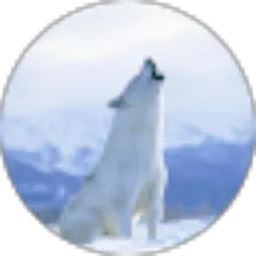 Review From Michael Steven