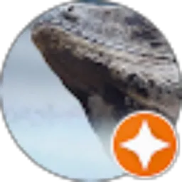 Review From Deni Hendriansyah