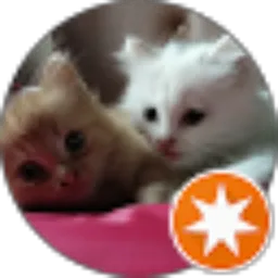 Review From My Diary