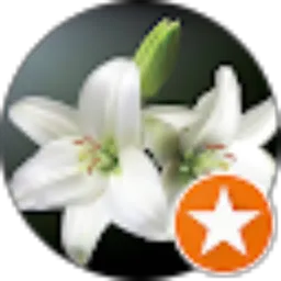 Review From Susan Gunawan