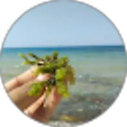 Review From Ika Nur Diantika