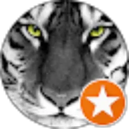 Review From pruffesur winata