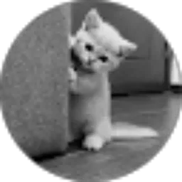 Review From dinda rhmdn