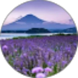 Review From Utin Nuraini