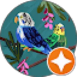 Review From Nie Nartty