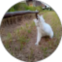 Review From Junda Yusuf