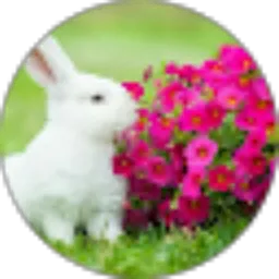 Review From dan s