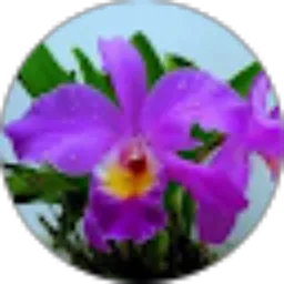 Review From novitasari sari