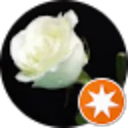 Review From t.intan.p