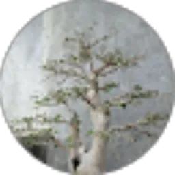 Review From kamfreeto