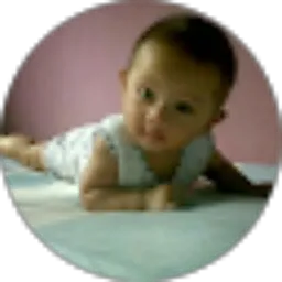 Review From Rizky Rully