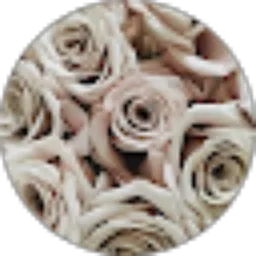 Review From nadya esa aulia