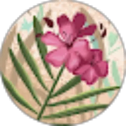 Review From Sha Velya