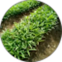 Review From Muhammad Nurdin