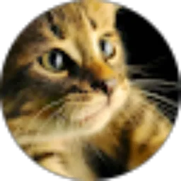 Review From Rian Dwi Wijaya