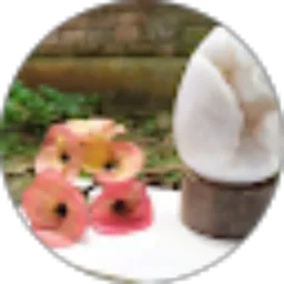 Review From Sahwa Ananda