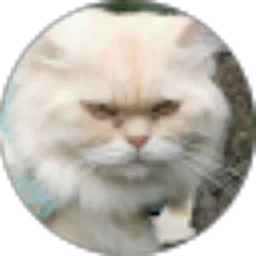 Review From Nugraha “beeTa” Pratama Putra