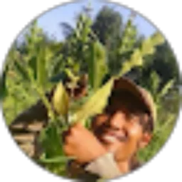 Review From Kadek Wardita