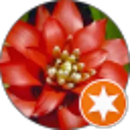 Review From bena rusiana