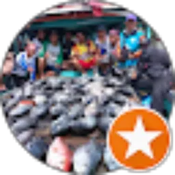 Review From Holingga Ivan