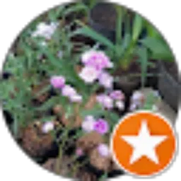 Review From DWI RESKI ASTATI