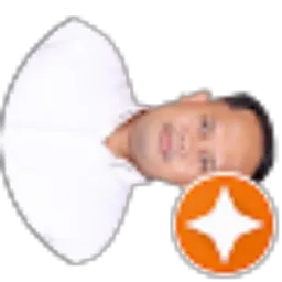 Review From Ditra Saputra