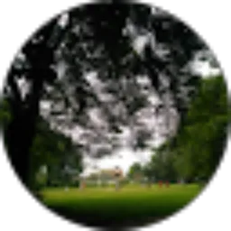 Review From Film art