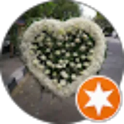 Review From permana iman