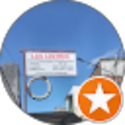 Review From Marsono Susilo