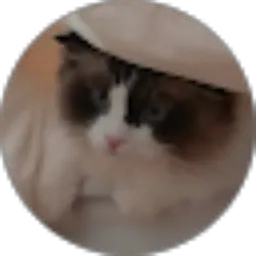 Review From Rahmah dianti