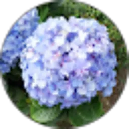 Review From Susanty Tan