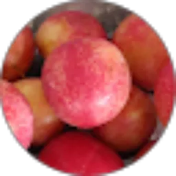 Review From Ferry Sz