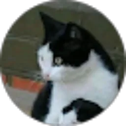 Review From Nasywa Firyalna Z